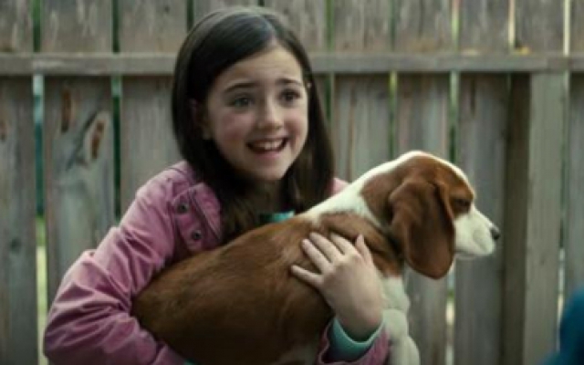 《一条狗的使命2》终极预告，小狗贝利为爱轮回坚定陪伴