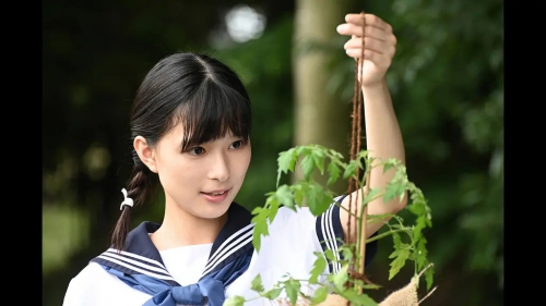 明子的钢琴