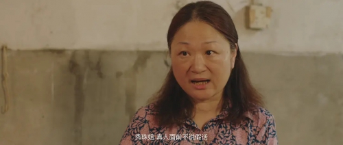 莲荷村的故事