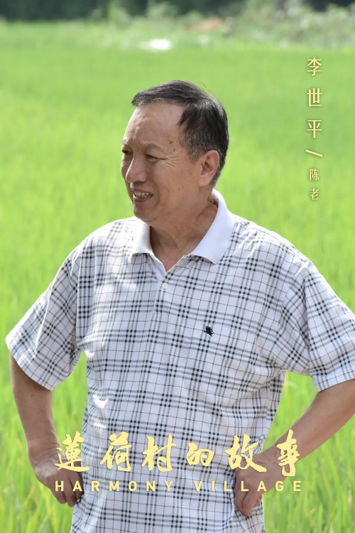 莲荷村的故事