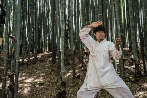 太白拳