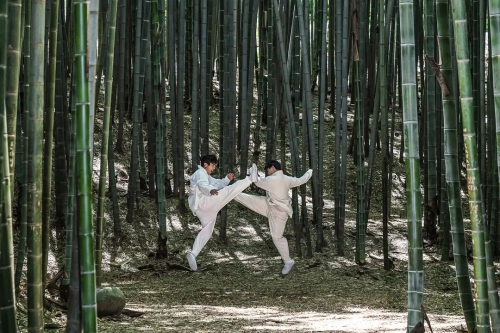 太白拳
