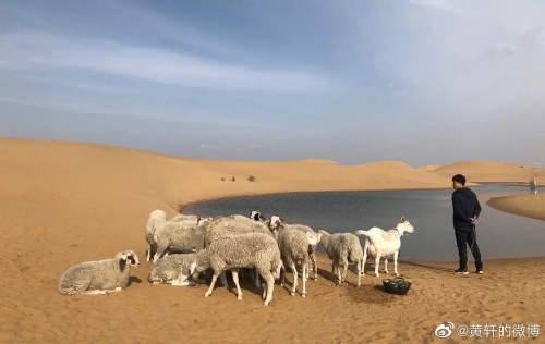 乌海