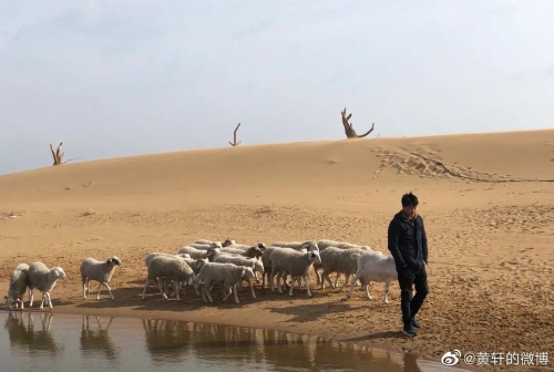 乌海
