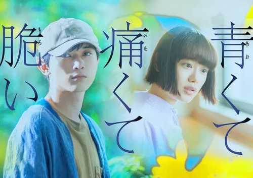 青涩的伤痛与脆弱 