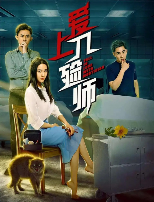 爱上入殓师