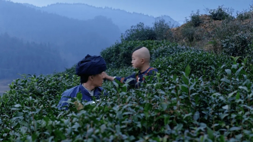 茶缘