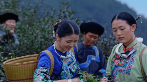 茶缘