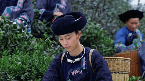 茶缘