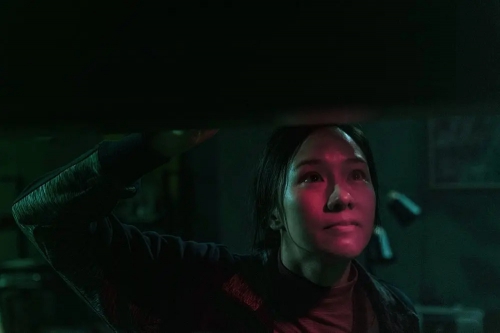 死因无可疑