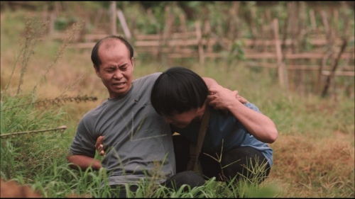 我的村我的家