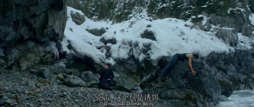 雪光之灾