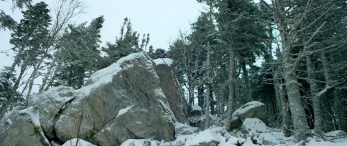 雪光之灾