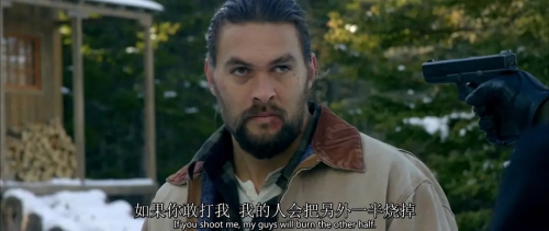 雪光之灾