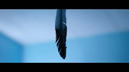 骑士