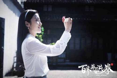百家拳之洪拳