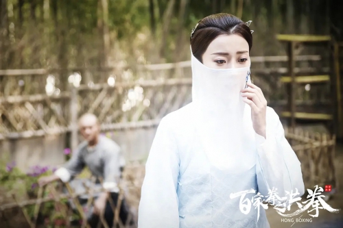 百家拳之洪拳
