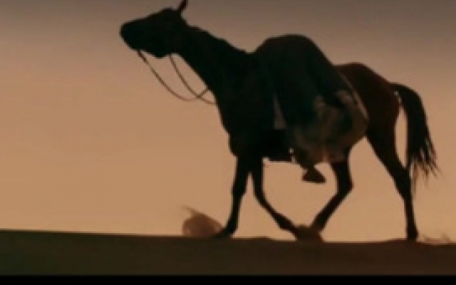 大唐玄奘被困八百里沙漠中，马匹把他驮起走出沙漠找到水