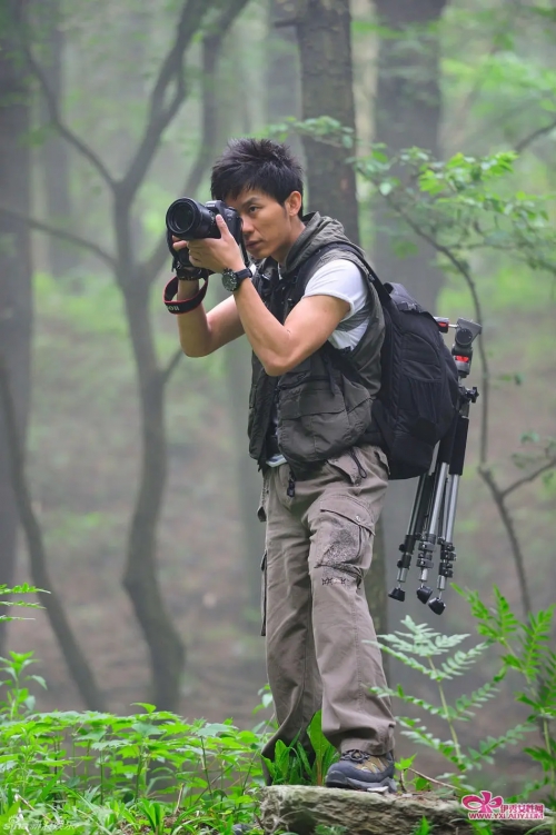 庐山恋2010
