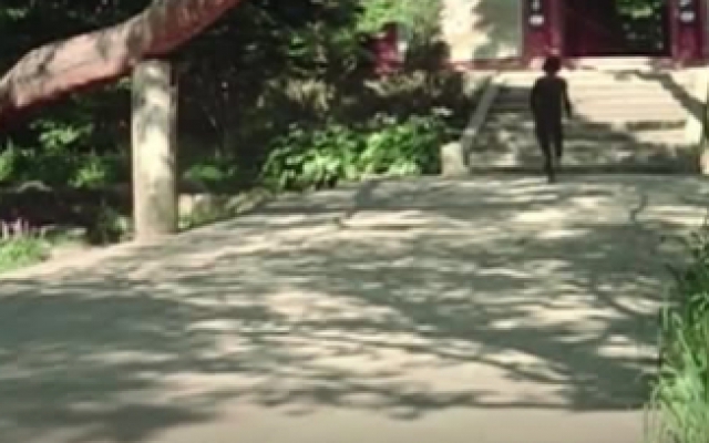 死亡塔：武术大师太惨了，睡梦之中，遭到叛徒的暗杀！