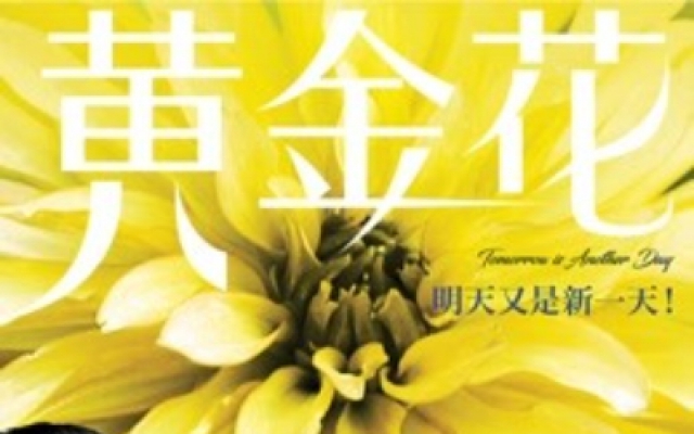 黄金花(普通话版) 