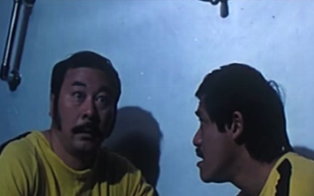 神偷妙探手多多：这么严密保险箱，竟是一只鹦鹉看守，太搞笑了！