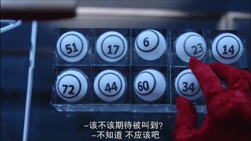 爱情鸟