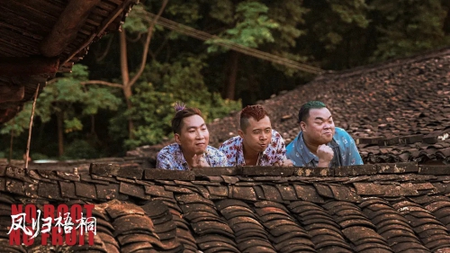 凤归梧桐