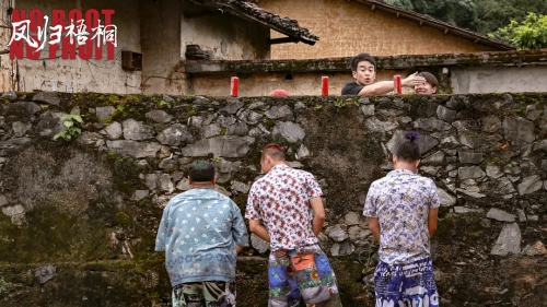 凤归梧桐