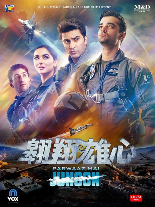 翱翔雄心