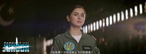 翱翔雄心