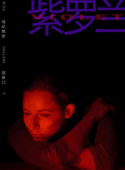 紫罗兰