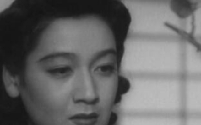 《我对青春无悔》完整版
