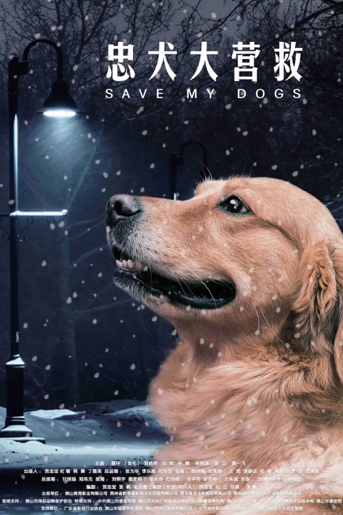 忠犬大营救