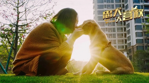 忠犬大营救