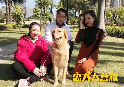 忠犬大营救