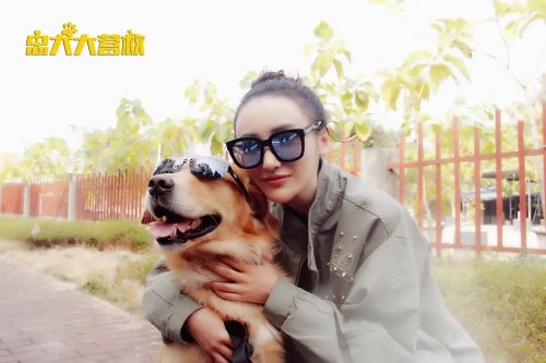 忠犬大营救