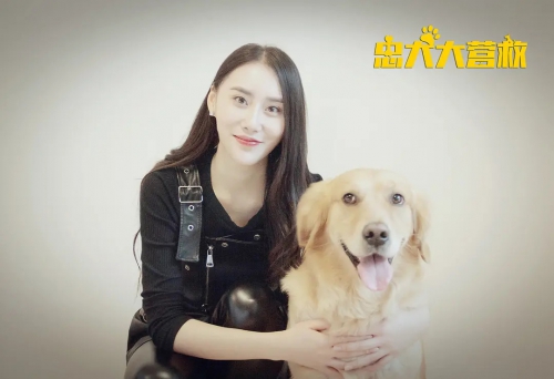 忠犬大营救