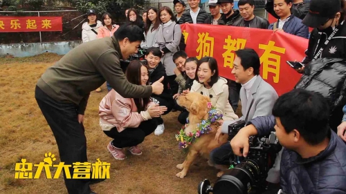 忠犬大营救