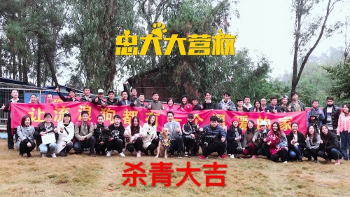 忠犬大营救