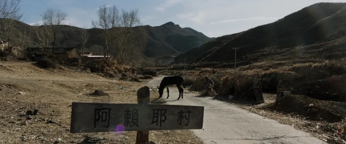 无生