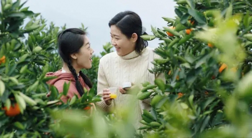 橙妹儿的时代