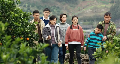 橙妹儿的时代