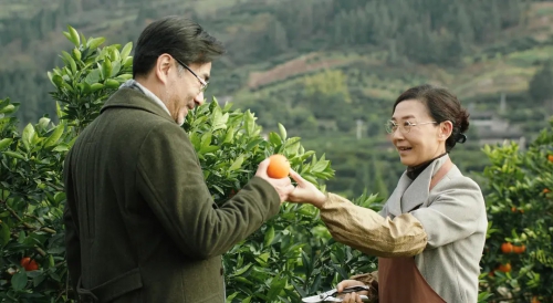 橙妹儿的时代