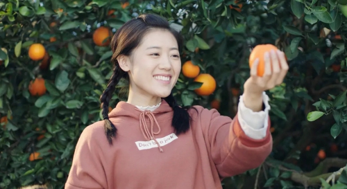 橙妹儿的时代