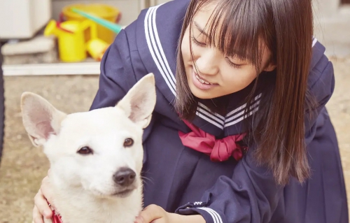 樱