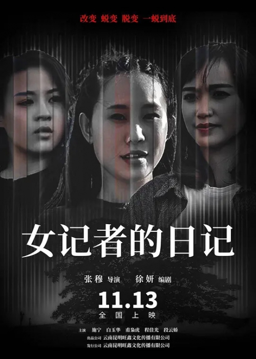女记者的日记