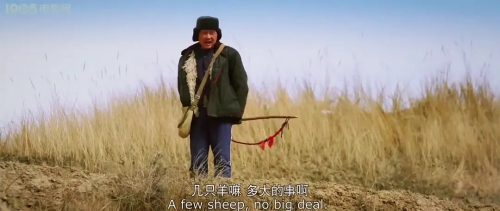 丢羊