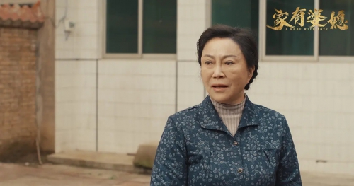 家有婆媳