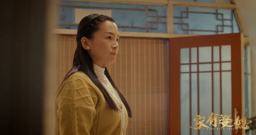家有婆媳